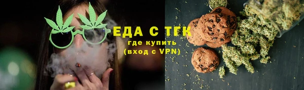 прущие грибы Богданович