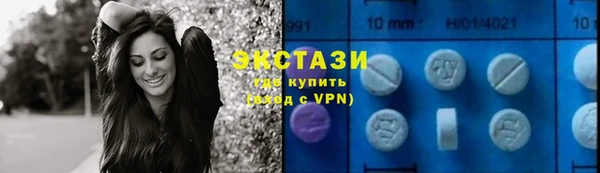 прущие грибы Богданович