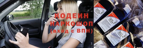 прущие грибы Богданович