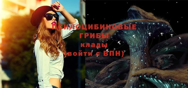 молекула духа Весьегонск