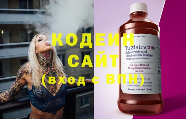 прущие грибы Богданович