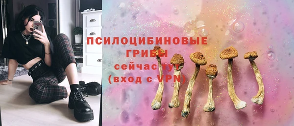 прущие грибы Богданович