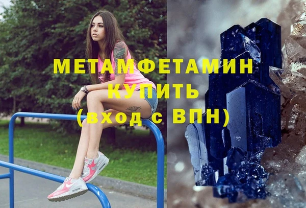прущие грибы Богданович