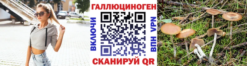 Галлюциногенные грибы прущие грибы  Горняк 
