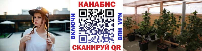 Бошки Шишки планчик  закладка  Горняк 